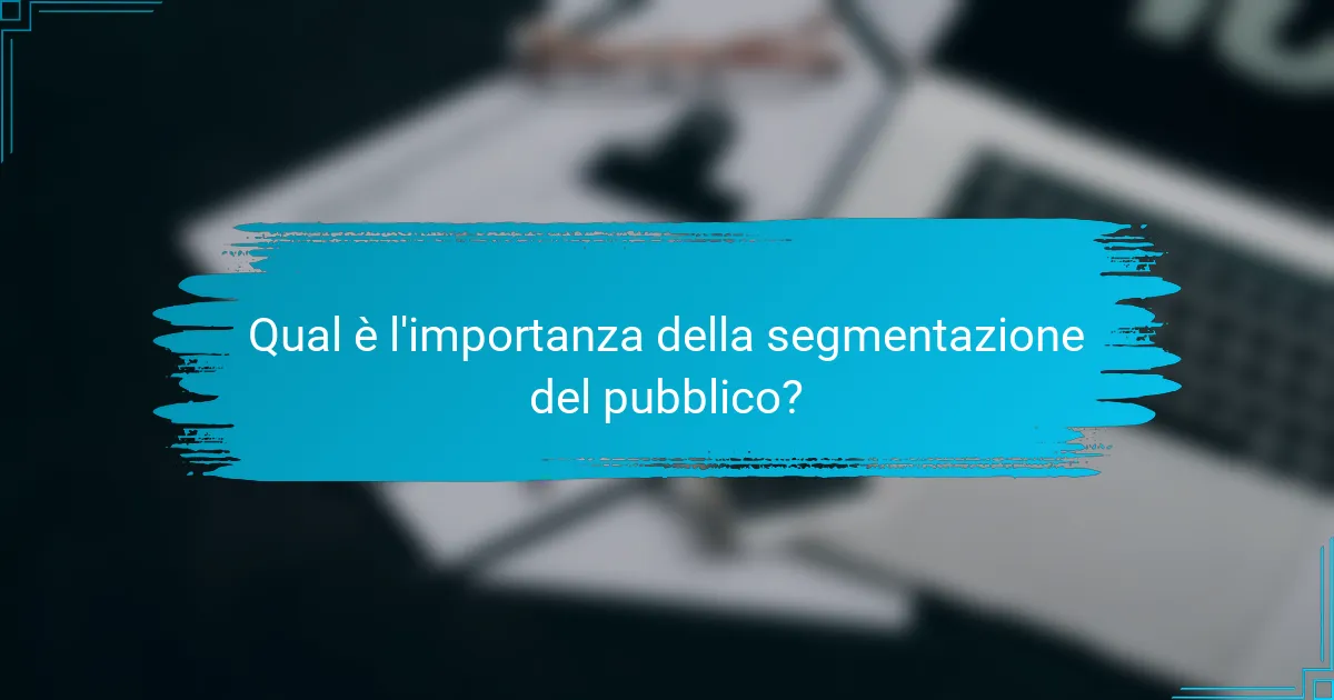 Qual è l'importanza della segmentazione del pubblico?